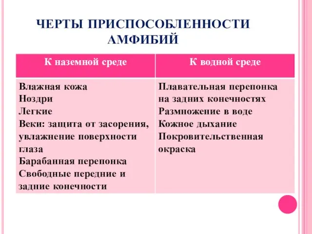 ЧЕРТЫ ПРИСПОСОБЛЕННОСТИ АМФИБИЙ