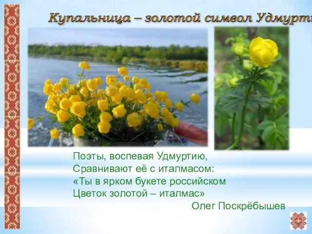 Поэты, воспевая Удмуртию, Сравнивают её с италмасом: «Ты в ярком букете российском Цветок
