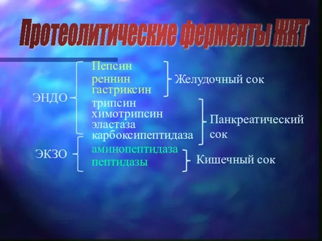 Протеолитические ферменты ЖКТ Пепсин реннин гастриксин ЭНДО ЭКЗО Желудочный сок