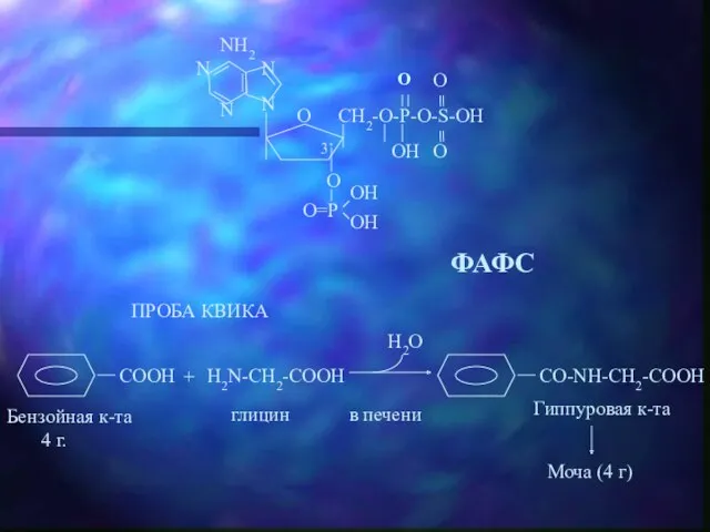 ФАФС ПРОБА КВИКА H2N-CH2-COOH Бензойная к-та 4 г. глицин в