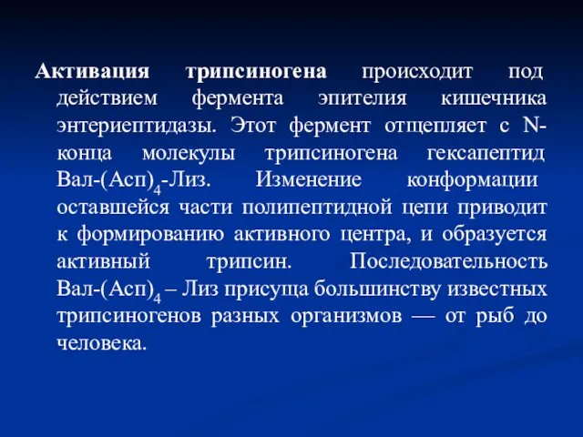 Активация трипсиногена происходит под действием фермента эпителия кишечника энтериептидазы. Этот