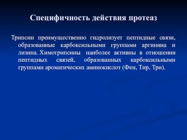 Специфичность действия протеаз Трипсин преимущественно гидролизует пептидные связи, образованные карбоксильными