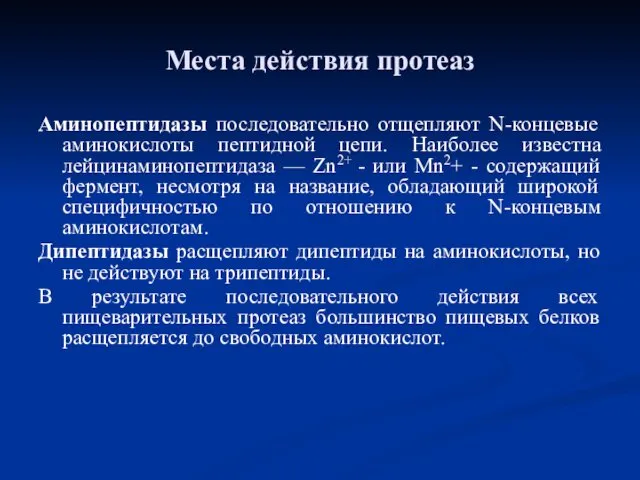 Аминопептидазы последовательно отщепляют N-концевые аминокислоты пептидной цепи. Наиболее известна лейцинаминопептидаза