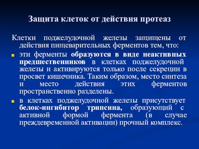 Защита клеток от действия протеаз Клетки поджелудочной железы защищены от