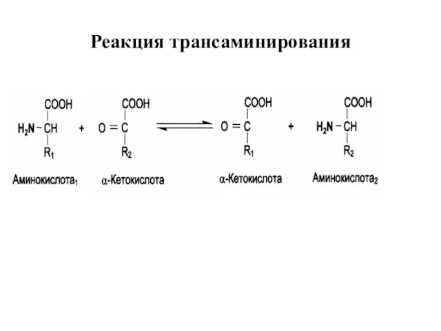 Реакция трансаминирования