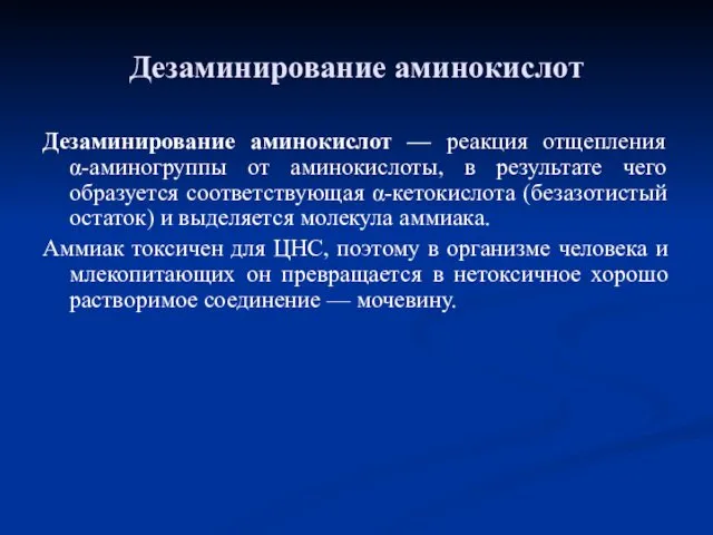 Дезаминирование аминокислот Дезаминирование аминокислот — реакция отщепления α-аминогруппы от аминокислоты,