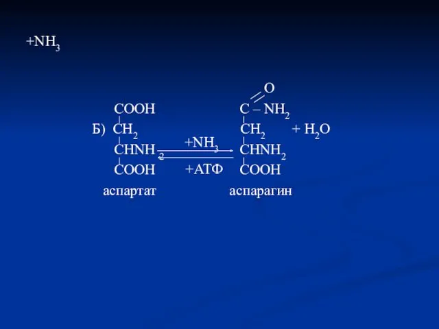 +NH3 O COOH C – NH2 Б) CH2 CH2 +