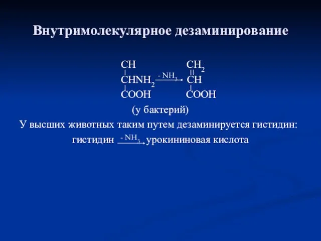 Внутримолекулярное дезаминирование СН СН2 СНNH2 СН СООН СООН (у бактерий)