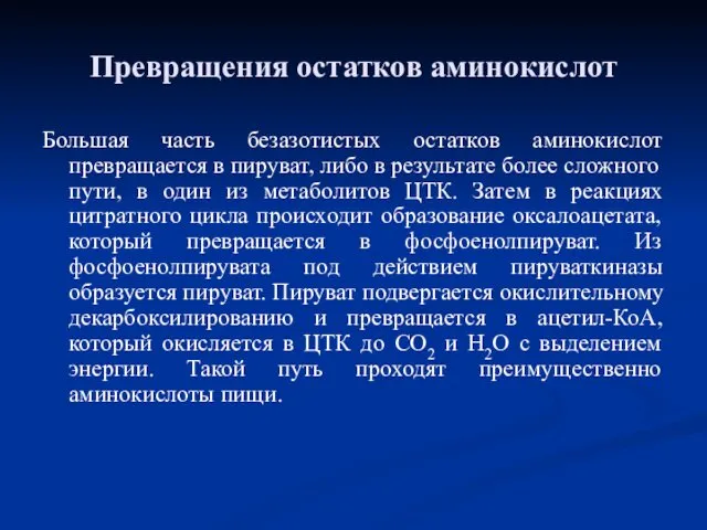 Большая часть безазотистых остатков аминокислот превращается в пируват, либо в