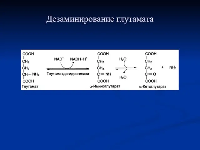 Дезаминирование глутамата