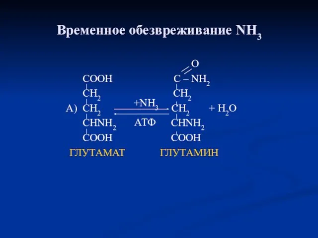 Временное обезвреживание NH3 O COOH C – NH2 CH2 CH2