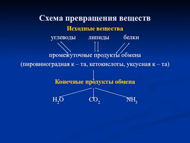 Схема превращения веществ Исходные вещества углеводы липиды белки промежуточные продукты