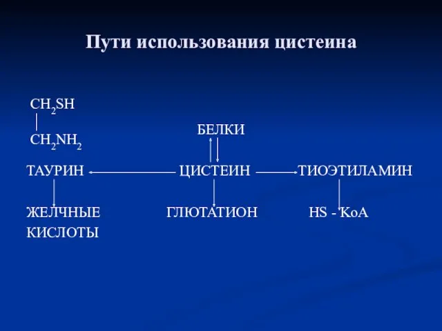 Пути использования цистеина БЕЛКИ ТАУРИН ЦИСТЕИН ТИОЭТИЛАМИН ЖЕЛЧНЫЕ ГЛЮТАТИОН HS - KoA КИСЛОТЫ CH2SH CH2NH2