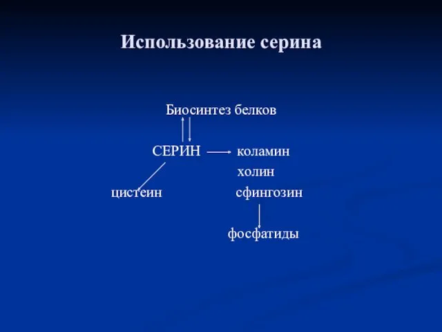 Использование серина Биосинтез белков СЕРИН коламин холин цистеин сфингозин фосфатиды