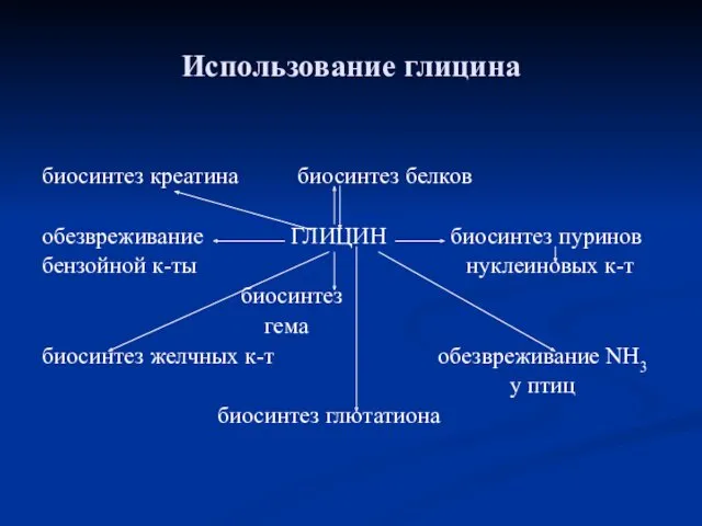 Использование глицина биосинтез креатина биосинтез белков обезвреживание ГЛИЦИН биосинтез пуринов