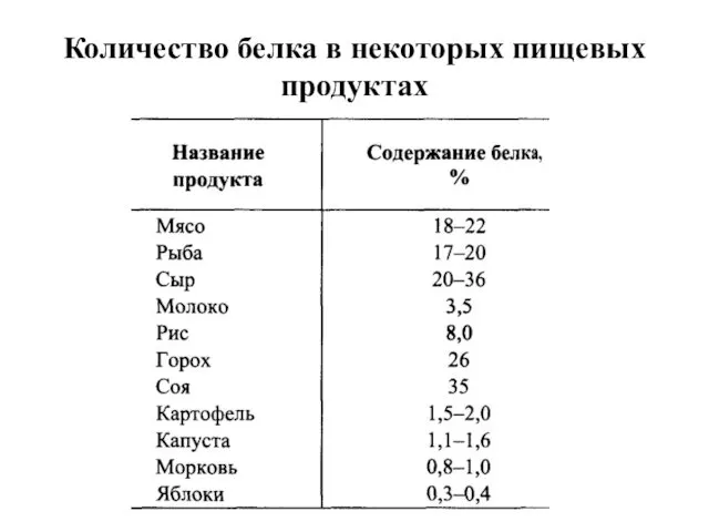 Количество белка в некоторых пищевых продуктах