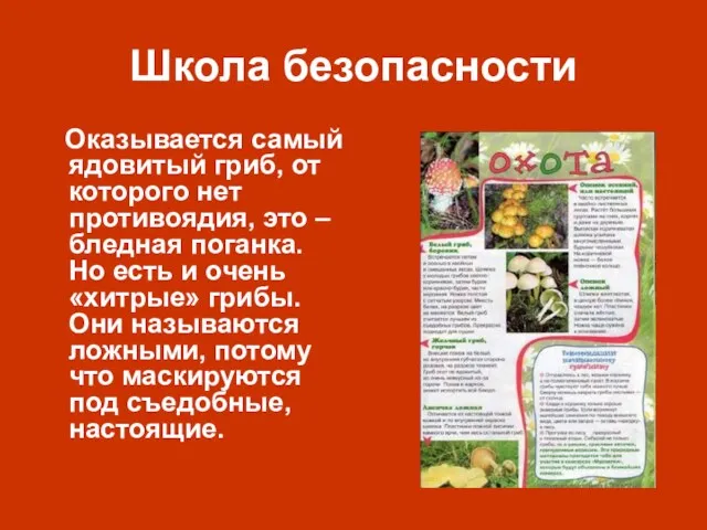 Школа безопасности Оказывается самый ядовитый гриб, от которого нет противоядия,