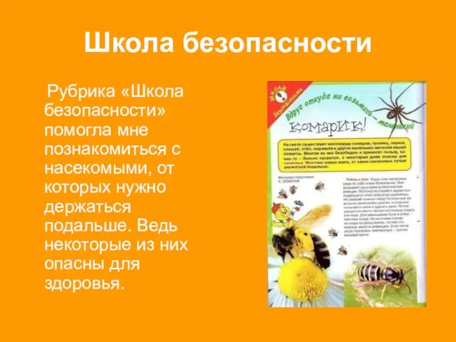 Школа безопасности Рубрика «Школа безопасности» помогла мне познакомиться с насекомыми,