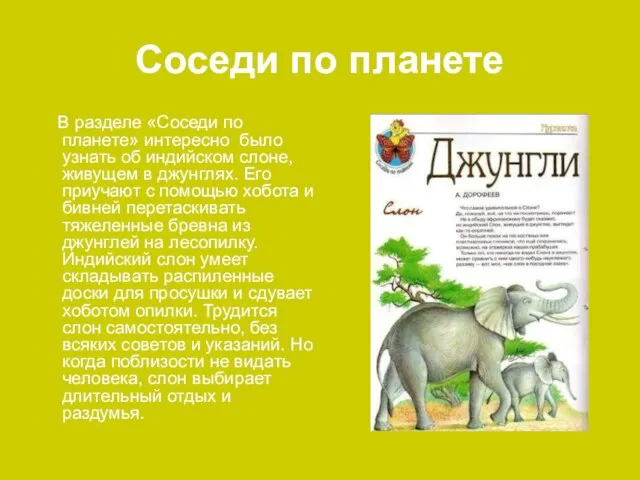 Соседи по планете В разделе «Соседи по планете» интересно было