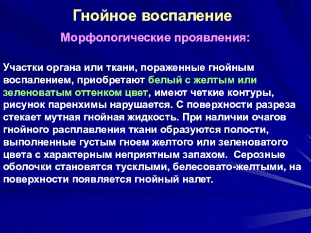 Гнойное воспаление Морфологические проявления: Участки органа или ткани, пораженные гнойным