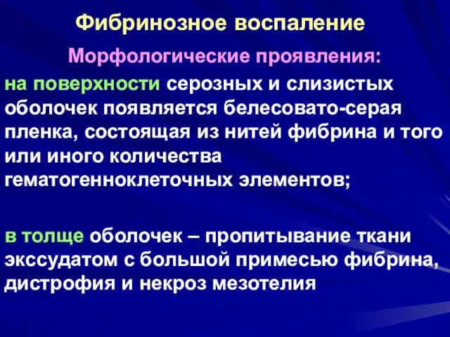 Фибринозное воспаление Морфологические проявления: на поверхности серозных и слизистых оболочек