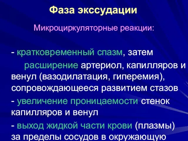 Фаза экссудации Микроциркуляторные реакции: - кратковременный спазм, затем расширение артериол,