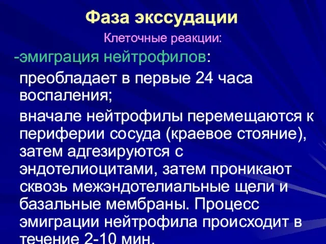 Фаза экссудации Клеточные реакции: эмиграция нейтрофилов: преобладает в первые 24