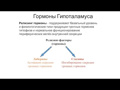 Релизинг гормоны - поддерживают базальный уровень и физиологические пики продукции