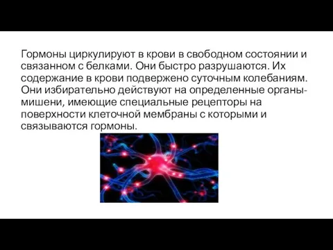 Гормоны циркулируют в крови в свободном состоянии и связанном с