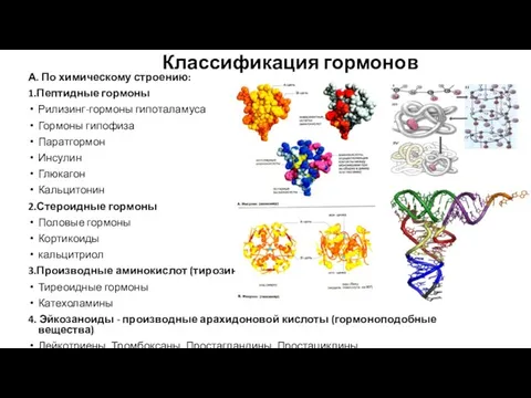 Классификация гормонов А. По химическому строению: 1.Пептидные гормоны Рилизинг-гормоны гипоталамуса