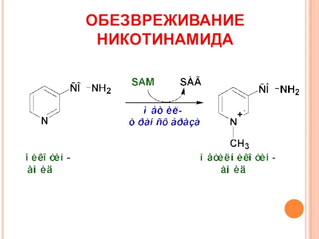 ОБЕЗВРЕЖИВАНИЕ НИКОТИНАМИДА