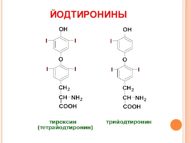 ЙОДТИРОНИНЫ