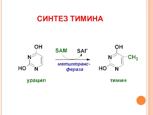 СИНТЕЗ ТИМИНА