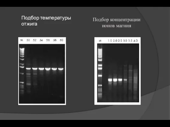 Подбор температуры отжига Подбор концентрации ионов магния