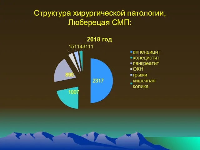 Структура хирургической патологии, Люберецая СМП: