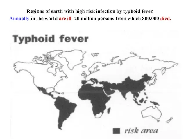 Regions of earth with high risk infection by typhoid fever.