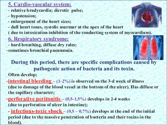 5. Cardio-vascular system: - relative bradycardia; dicrotic pulse; - hypotension;