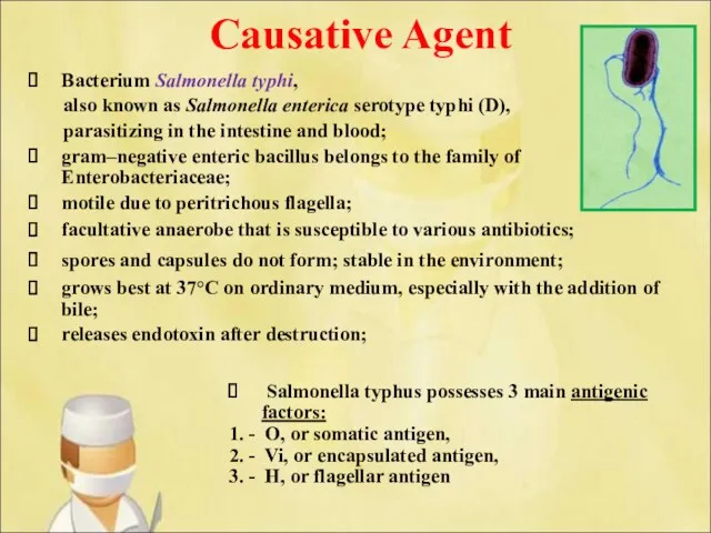 Causative Agent Bacterium Salmonella typhi, also known as Salmonella enterica