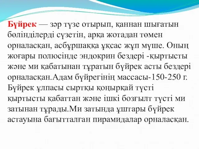 Бүйрек — зәр түзе отырып, қаннан шығатын бөлінділерді сүзетін, арқа