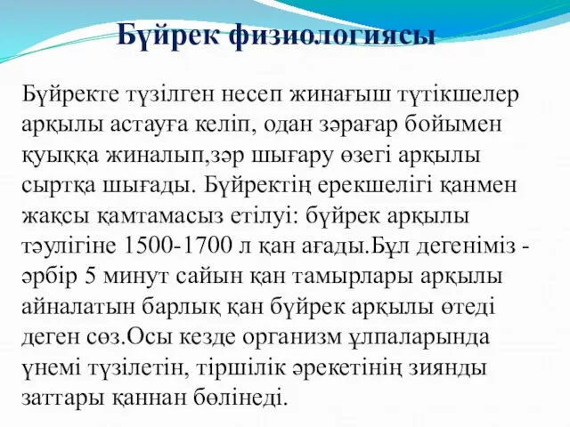 Бүйрек физиологиясы Бүйректе түзілген несеп жинағыш түтікшелер арқылы астауға келіп,