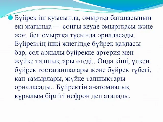 Бүйрек іш қуысында, омыртқа бағанасының екі жағында — соңғы кеуде