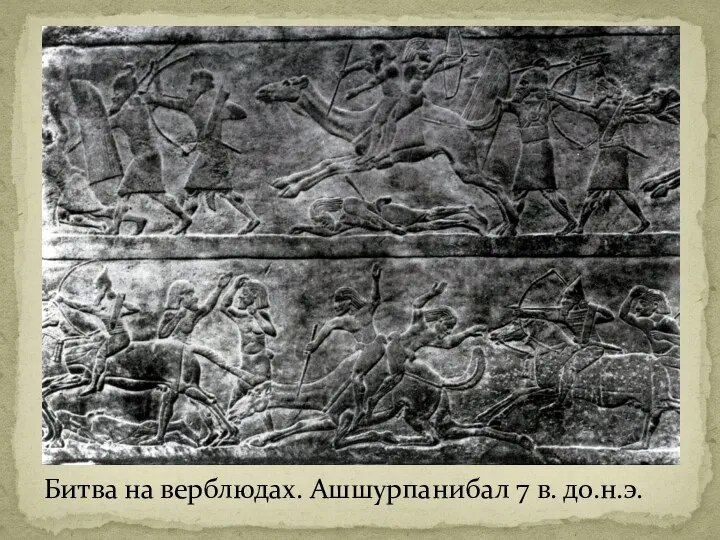 Битва на верблюдах. Ашшурпанибал 7 в. до.н.э.