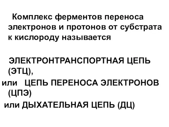 Комплекс ферментов переноса электронов и протонов от субстрата к кислороду