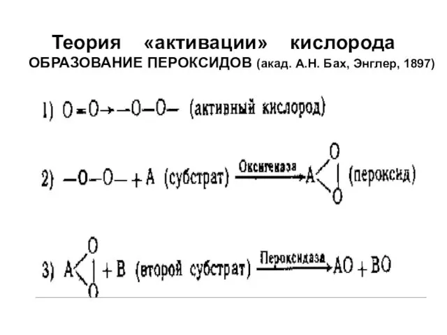 Теория «активации» кислорода ОБРАЗОВАНИЕ ПЕРОКСИДОВ (акад. А.Н. Бах, Энглер, 1897)