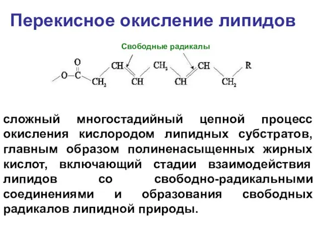 Перекисное окисление липидов сложный многостадийный цепной процесс окисления кислородом липидных