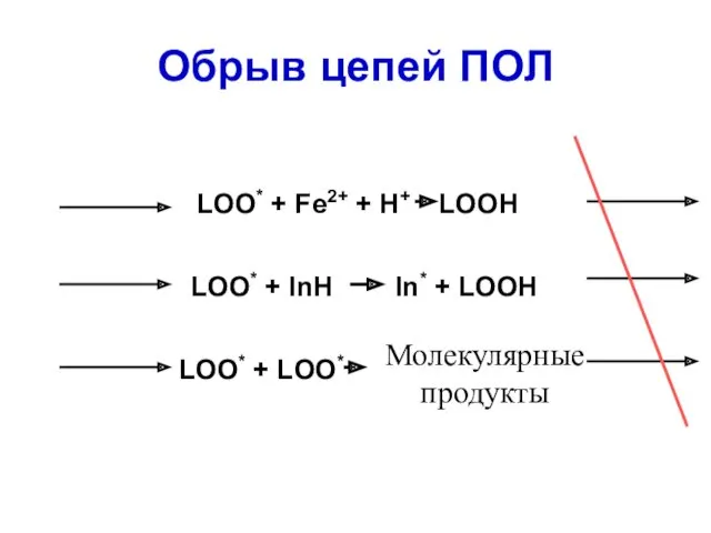 Обрыв цепей ПОЛ LOO* + Fe2+ + H+ LOOH