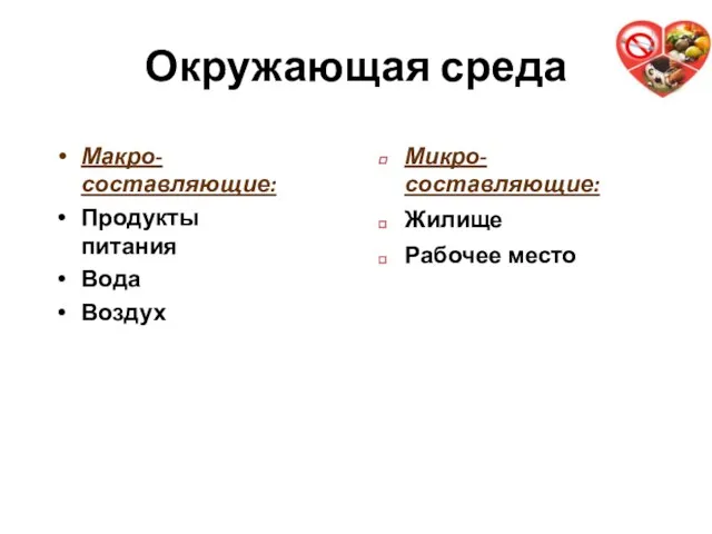 Окружающая среда Макро-составляющие: Продукты питания Вода Воздух Микро- составляющие: Жилище Рабочее место