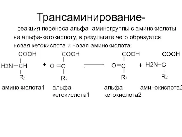 Трансаминирование- - реакция переноса альфа- аминогруппы с аминокислоты на альфа-кетокислоту,