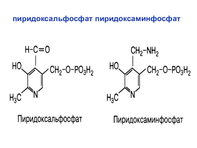 пиридоксальфосфат пиридоксаминфосфат
