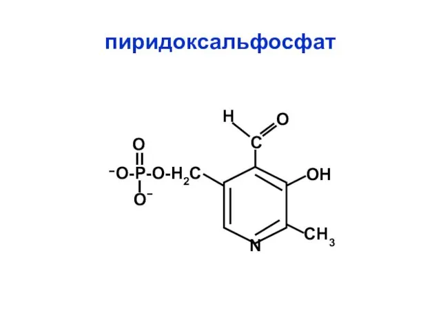 О Н пиридоксальфосфат